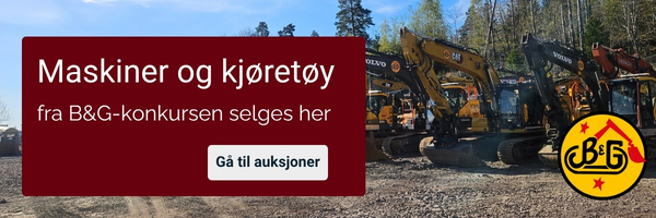 Kampanjebanner på Auksjonen.no